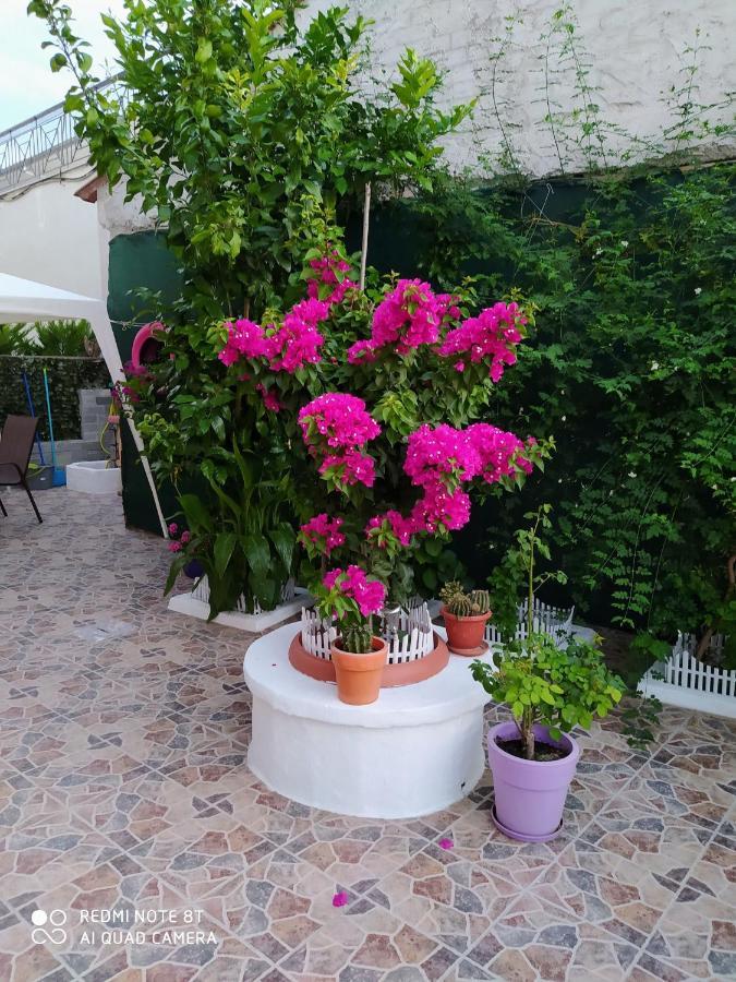 Lucy'S House Διαμέρισμα Λιμένας Εξωτερικό φωτογραφία